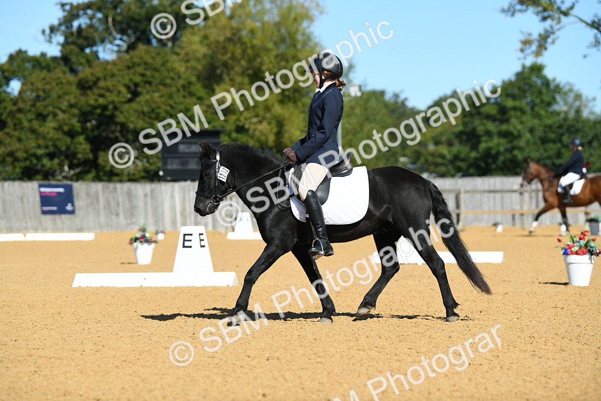 SBM_18188 - D4 - Small Tour Championship - Intro B