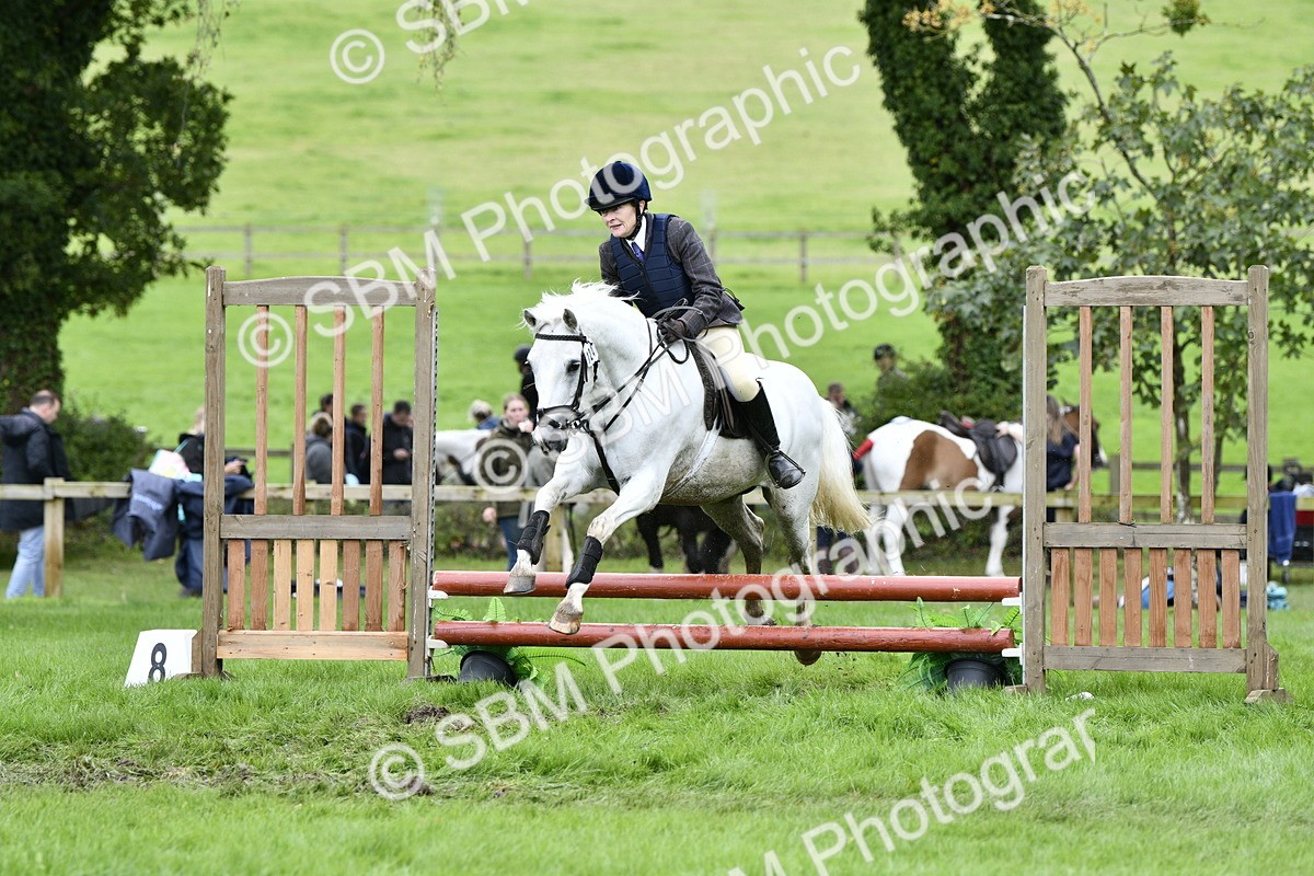 SBM_41310 - S32 - Mountain & Moorland Working Hunter Pony