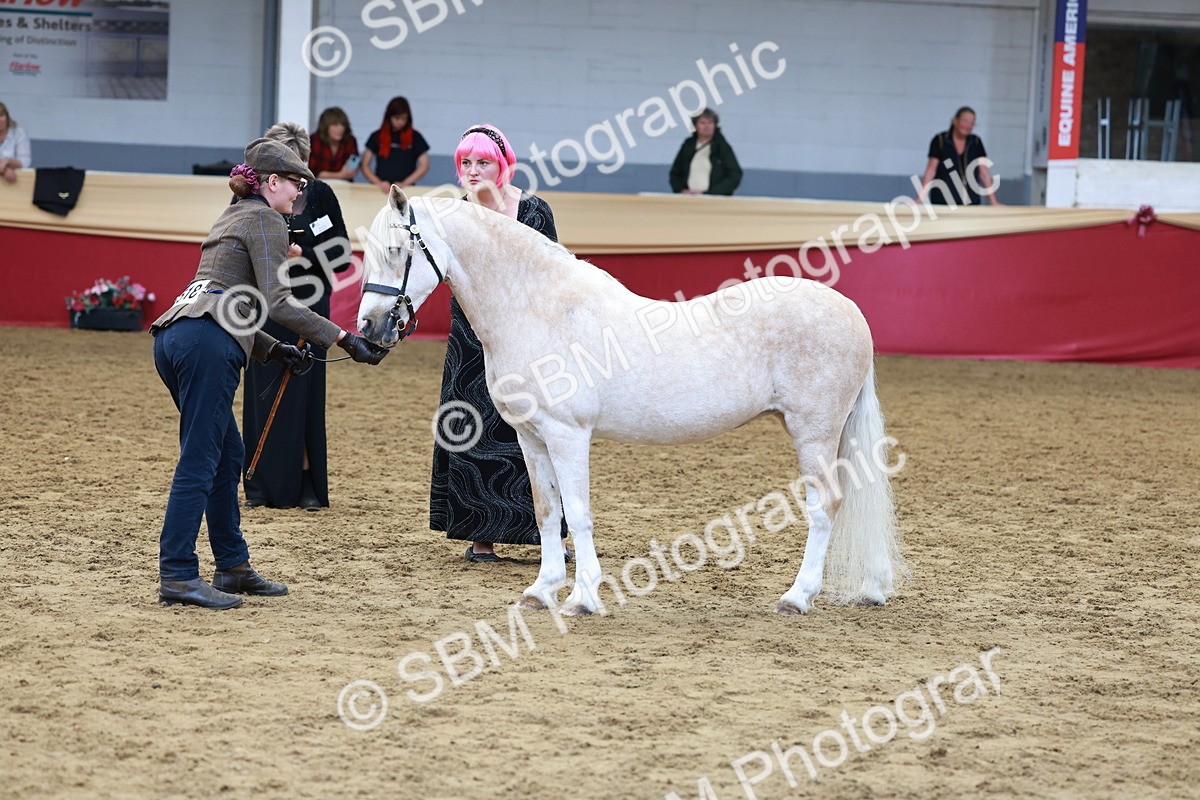 SBM_17389 - Class 951 - M&M IH Supreme Final