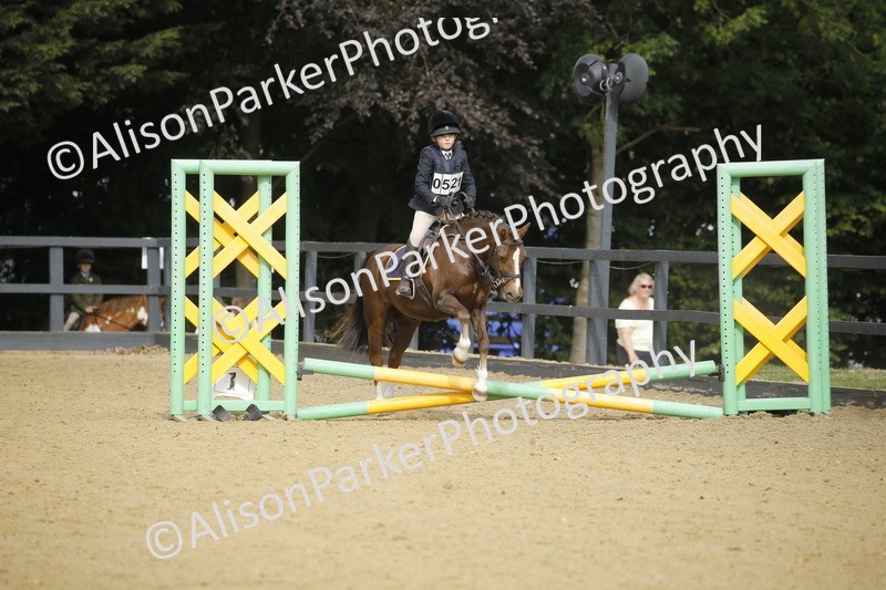 20250622-1421 - 40cm