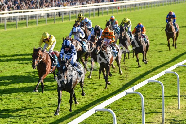 141023-Race 5-Certain Lad-1342 - Race 5 3.35pm Coral Racing Bet Bundles Handicap