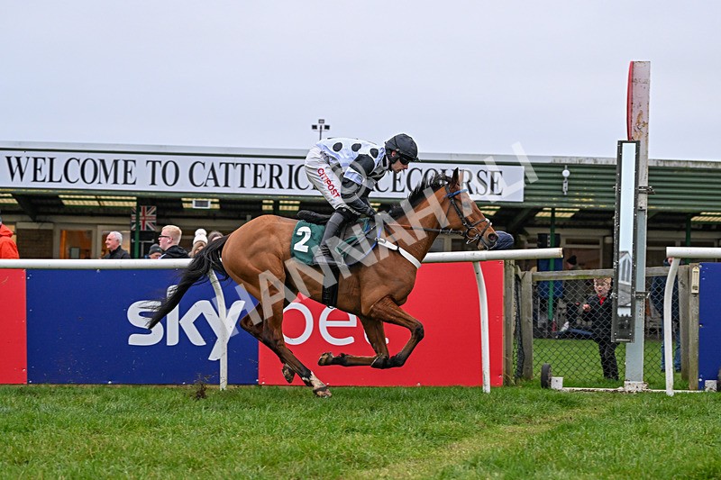 281225-Race 3-Supreme George-0442 - Race 3