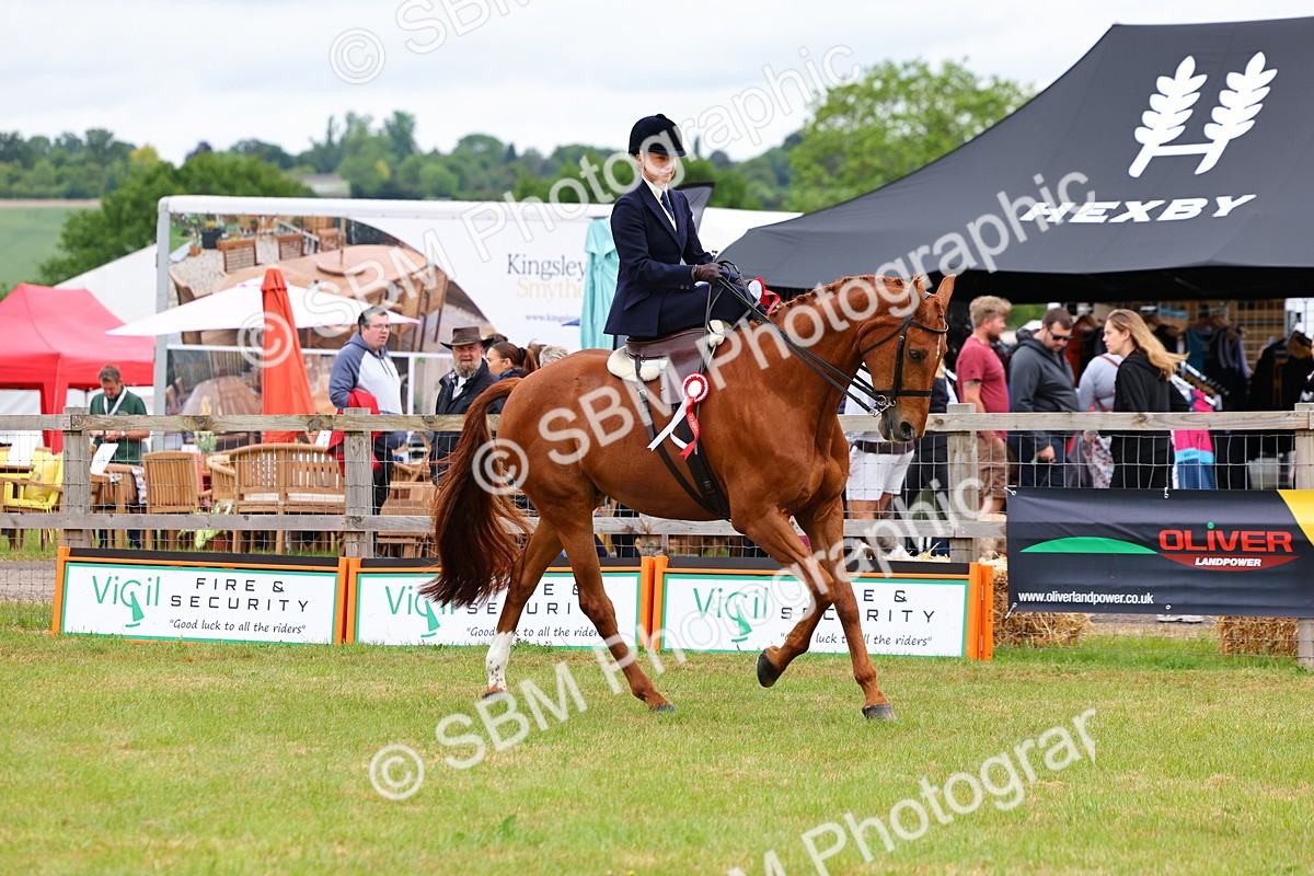 SBM_02786 - Class 9-11 Side Saddle including LIHS Rising Star Ladies Show Horse