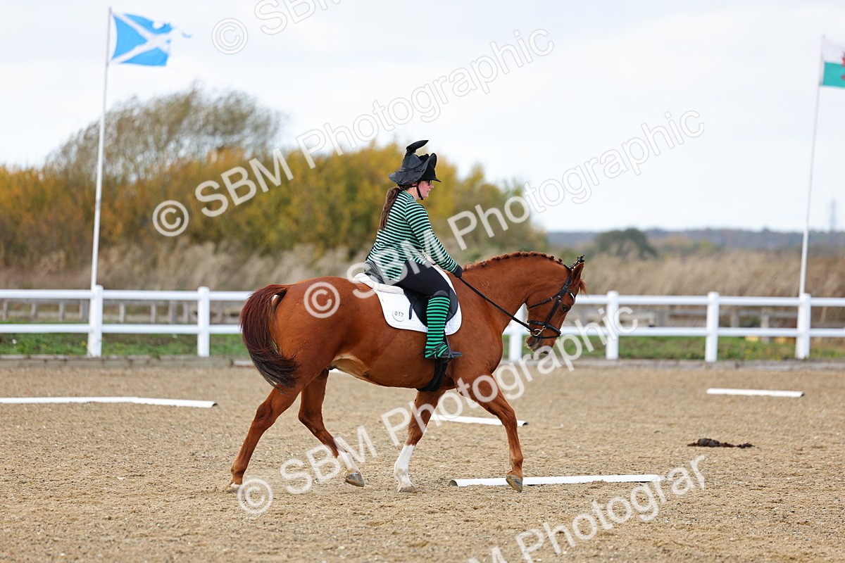 SBM_002585 - Class 8-11 - Novice 1-E1