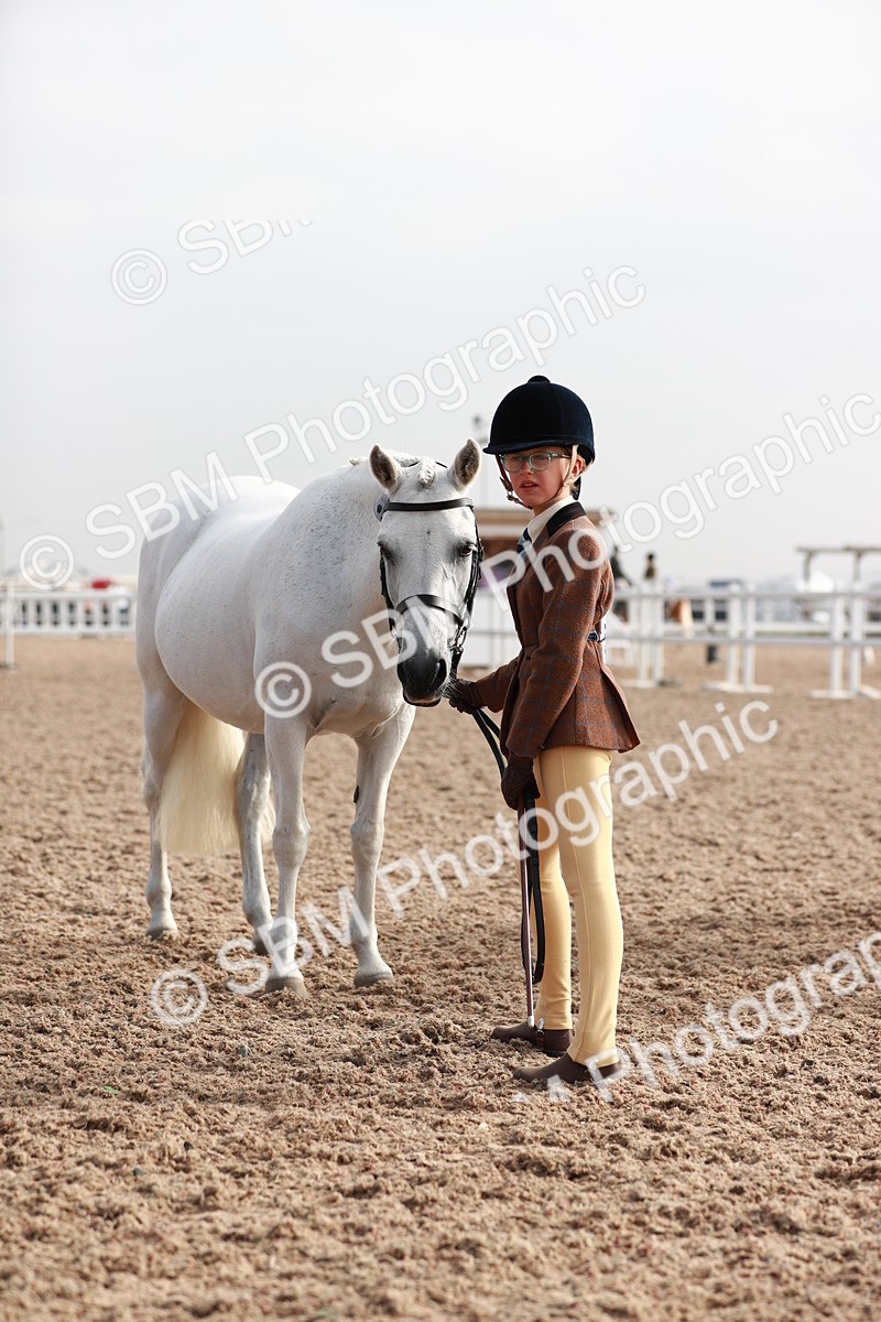 SBM_09913 - Class 203 Young Handler, 10 years and under