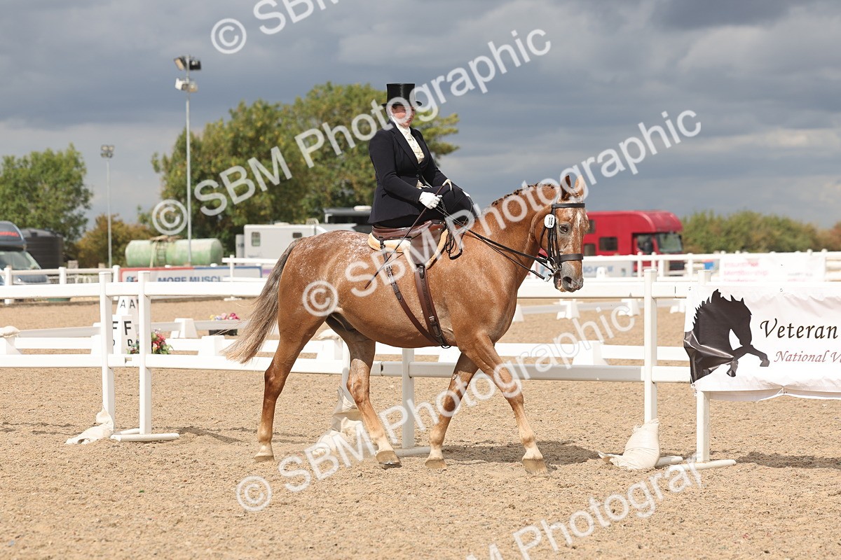 SBM_06341 - Class 22 - SSA - Equitation