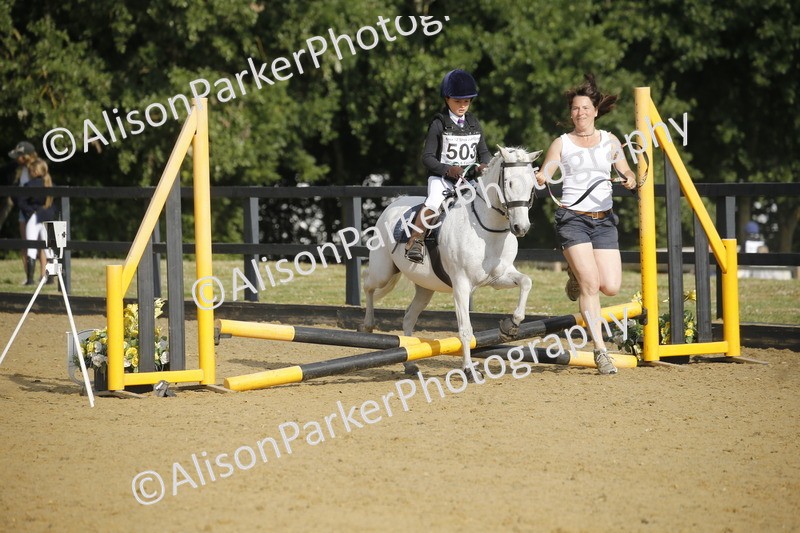 20250622-1170 - 40cm