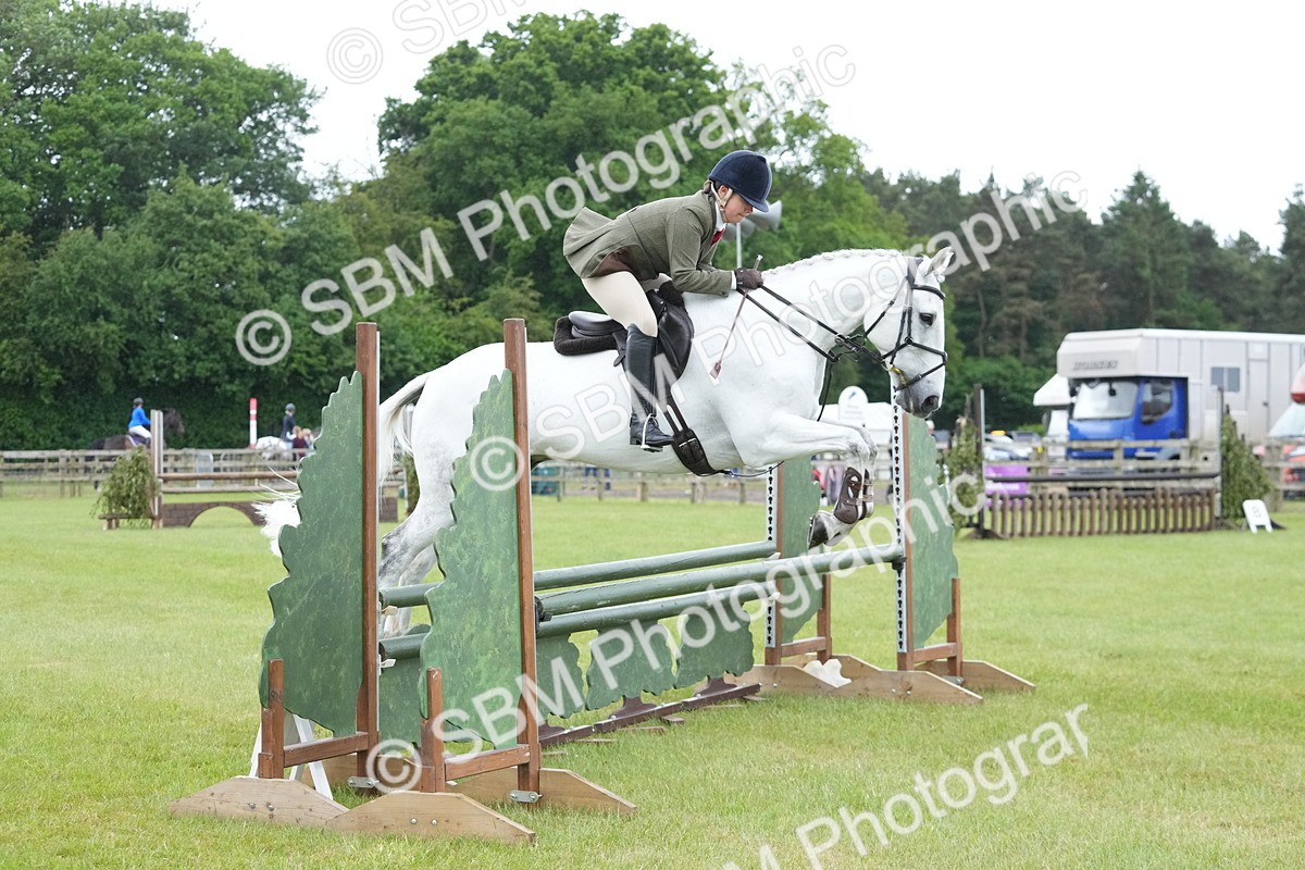 SBM_12595 - Class 97-98 - LIHS BSHA Rising Star Working Show Horse Hunter