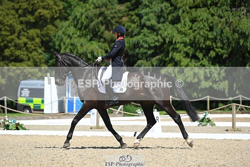 230526-141002-06928 - 482-BROOKFIELD_CAVALIER_CRUISE-Piggy_March-DR