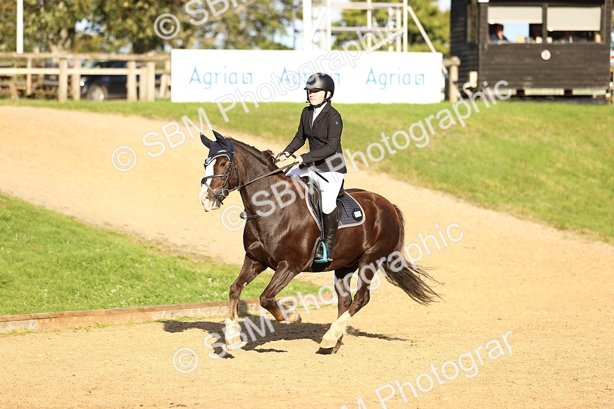 SBM_51942 - J10 - Junior Pony 75cm Championship