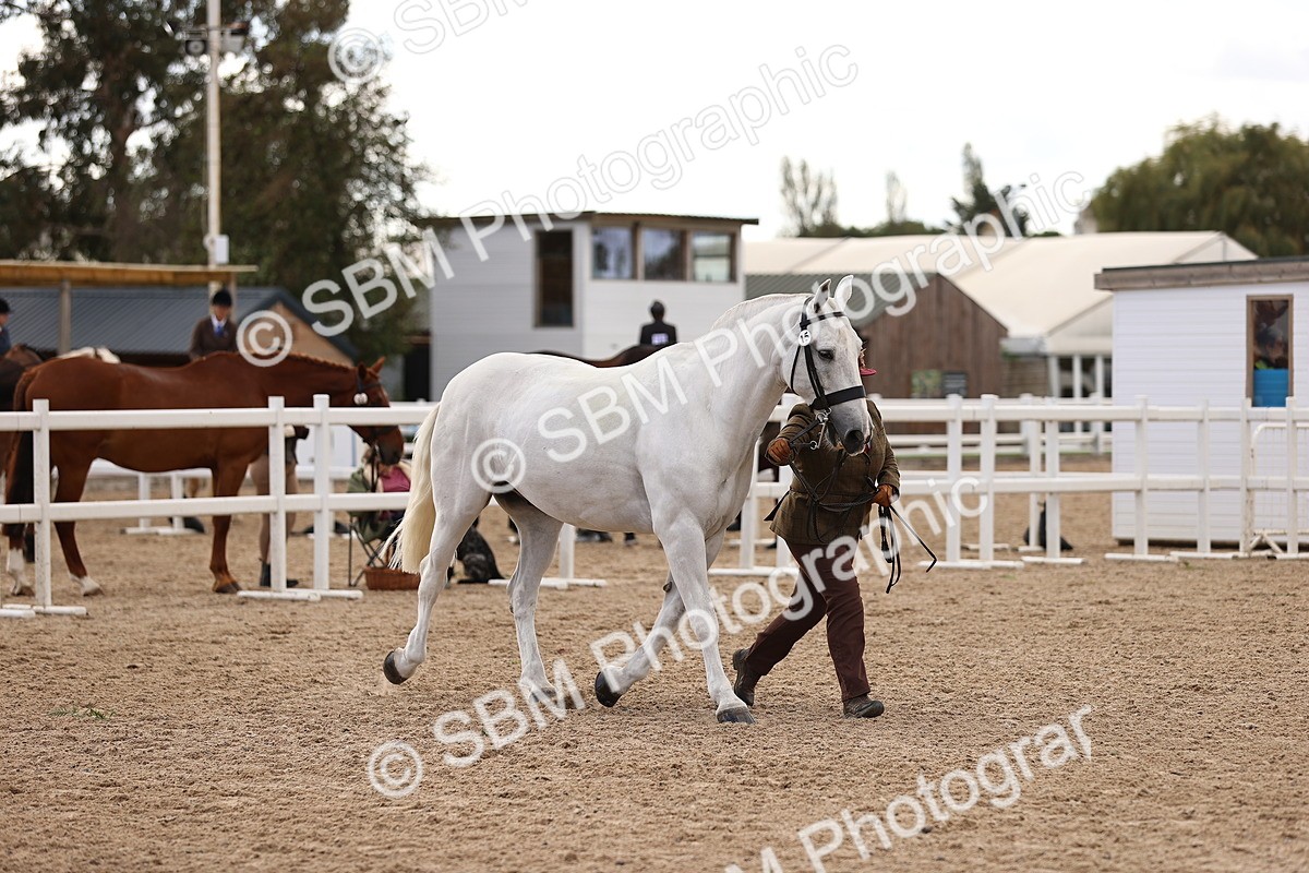 SBM_10380 - Class 405 - IH Show Cob