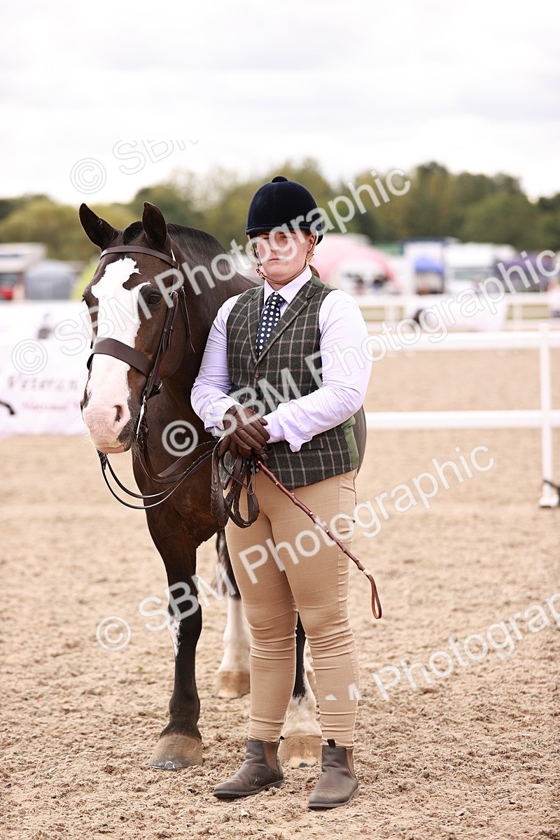 SBM_16134 - Class 411 - Prettiest Mare - (IH or Ridden Adult)