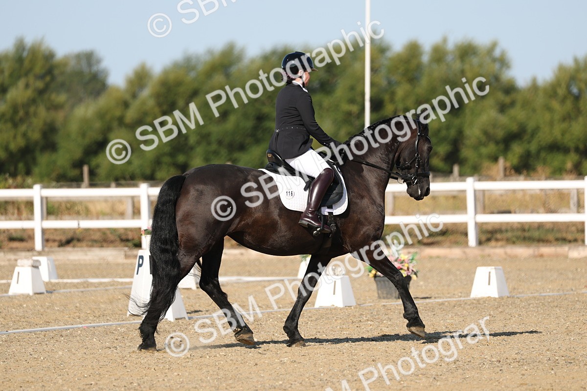 SBM_012638 - Class 1 - P5 Bronze 9.00.10.12