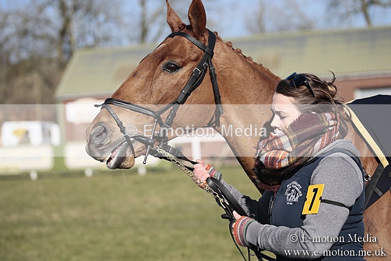PtP 240218 429 - Vine & Craven Hunt Point-to-Point Barbury racecourse 24/02/18