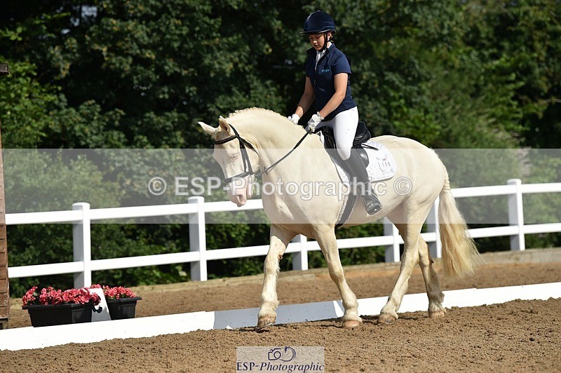 250622-094340-12827 - Quest Cls 19-24 Intro Tests