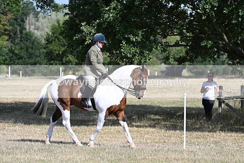 WJ7_2784 - Class 8 Ridden Tack & Turnout