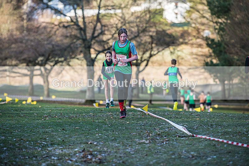 Cumbria XC-223 - Cumbria Cross Country Championships (Junior & Senior Races) Saturday 3rd January 2026