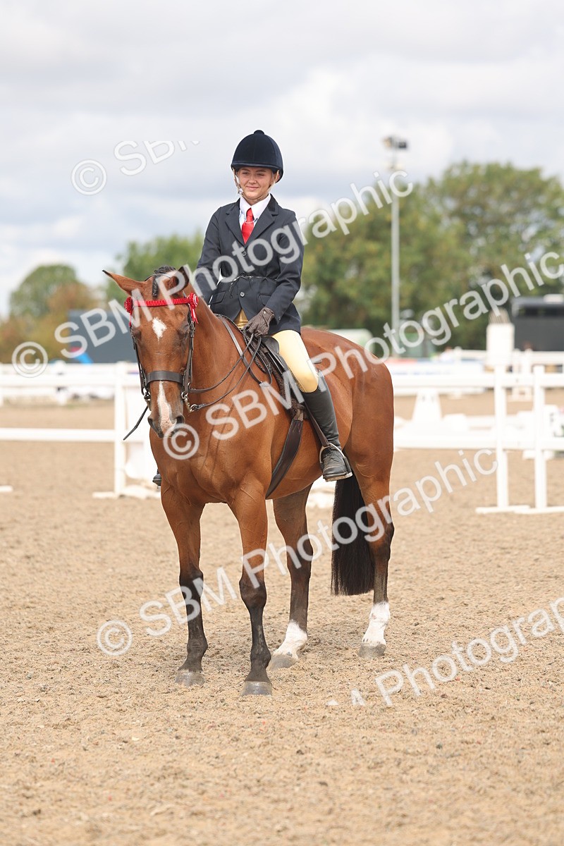 SBM_04540 - Class 19 - Horse/Pony Judge would most like to take home