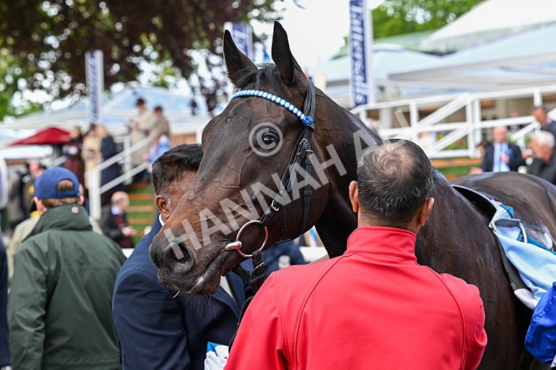 130526-Race 4-Elmonjed-3112 - Race 4 3.30pm Go Local Stores Minster Stakes