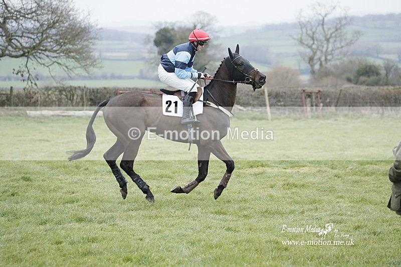 PtP 050323 599 - Blackmore & Sparkford Vale Hunt PtP - Somerset 05/03/23