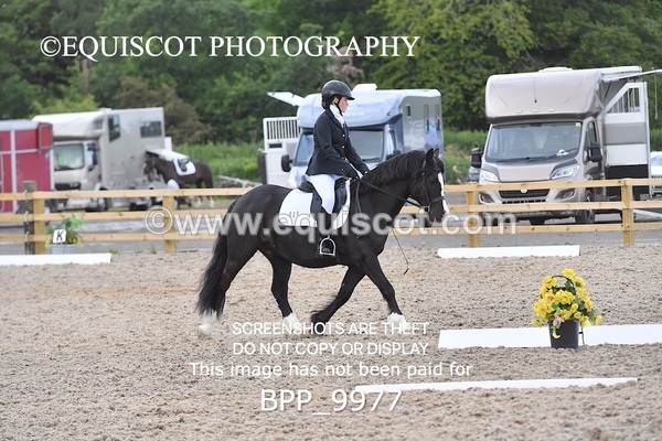 BPP_9977 - SHORT ARENA  MY QUEST PRELIM