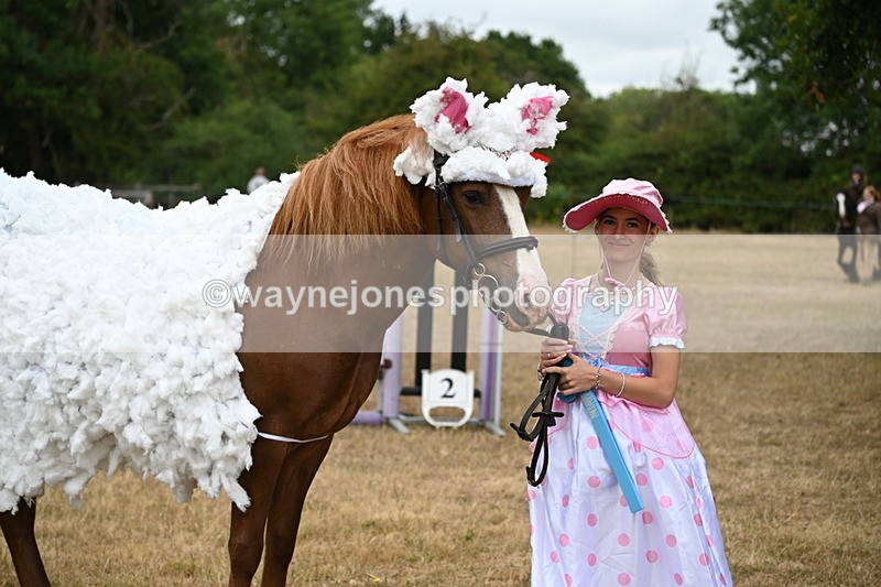 WJ6_8938 - Class 11 Fancy Dress