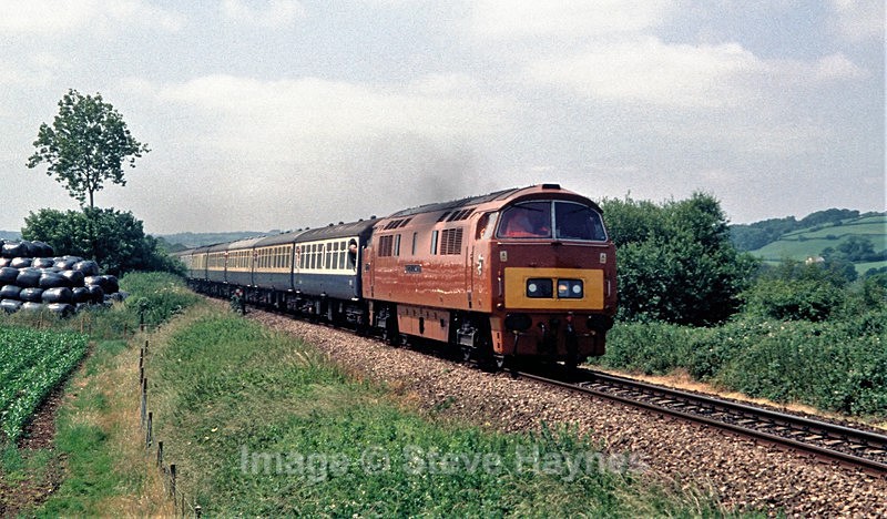 26th June 2005 - Axminster, Devon