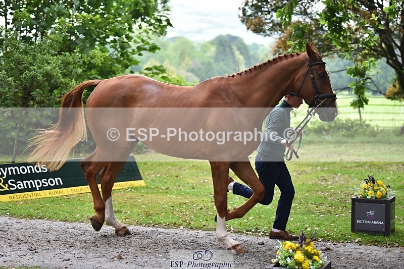 240522-164746-01164 - 221-LAGANS_RICE_STAR-Oliver_Thompson