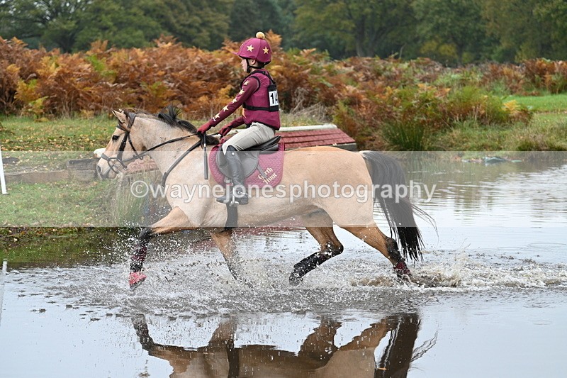 WJ7_1086 - 80cm Cam 2 Water Time 11:29 to 11:46