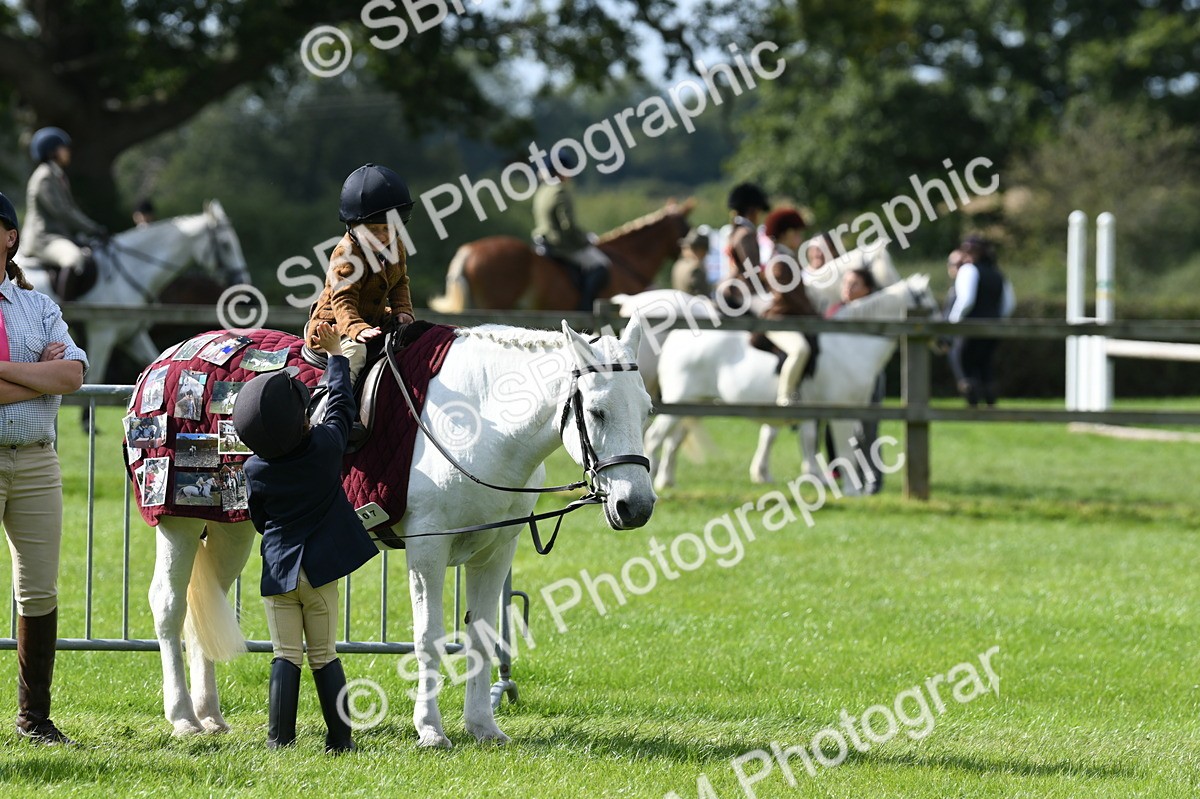 SBM_47047 - S12 - Family Horse & Pony