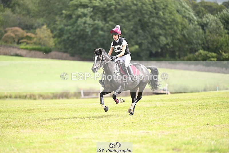 240825X-121542-33745 - 70cm XC 12.00 to End