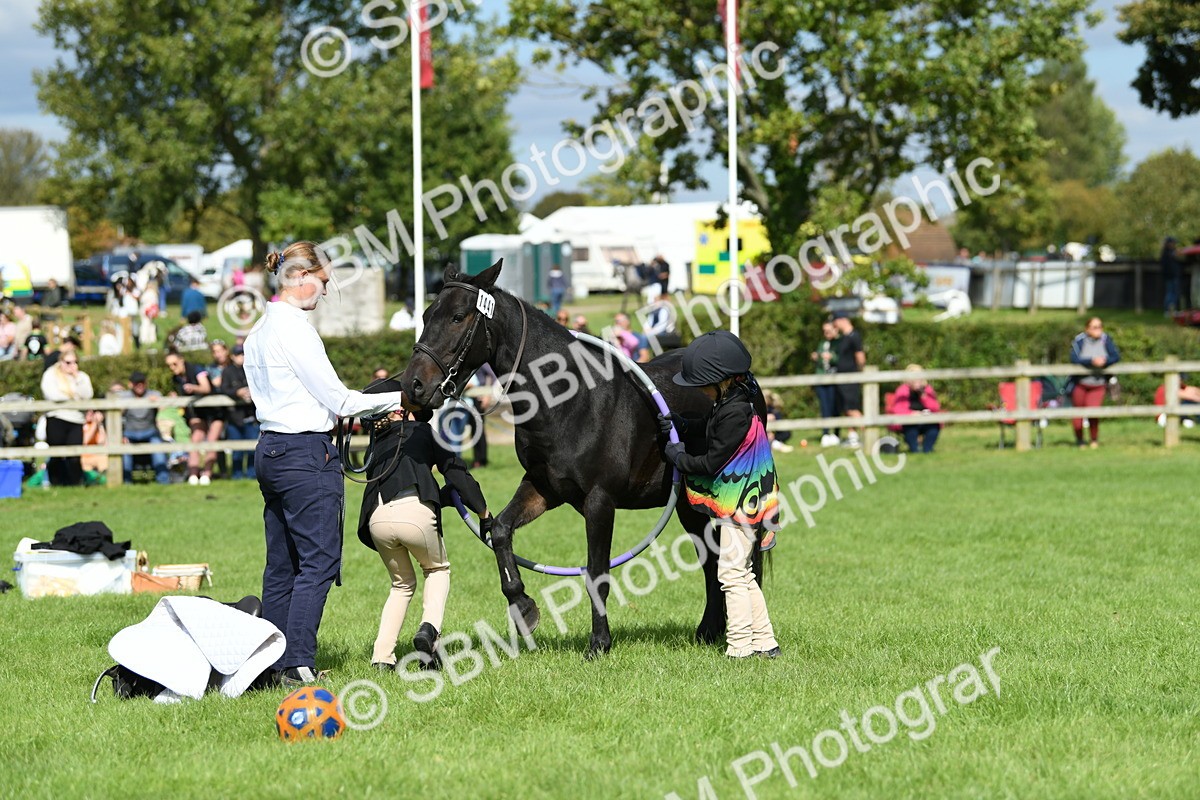 SBM_46966 - S12 - Family Horse & Pony