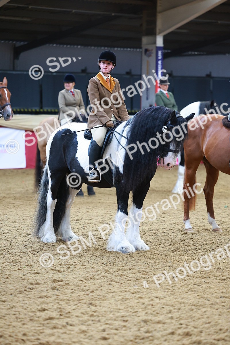 SBM_09839 - Class 102 - HOYS Veteran Qualifier - Ridden Veteran