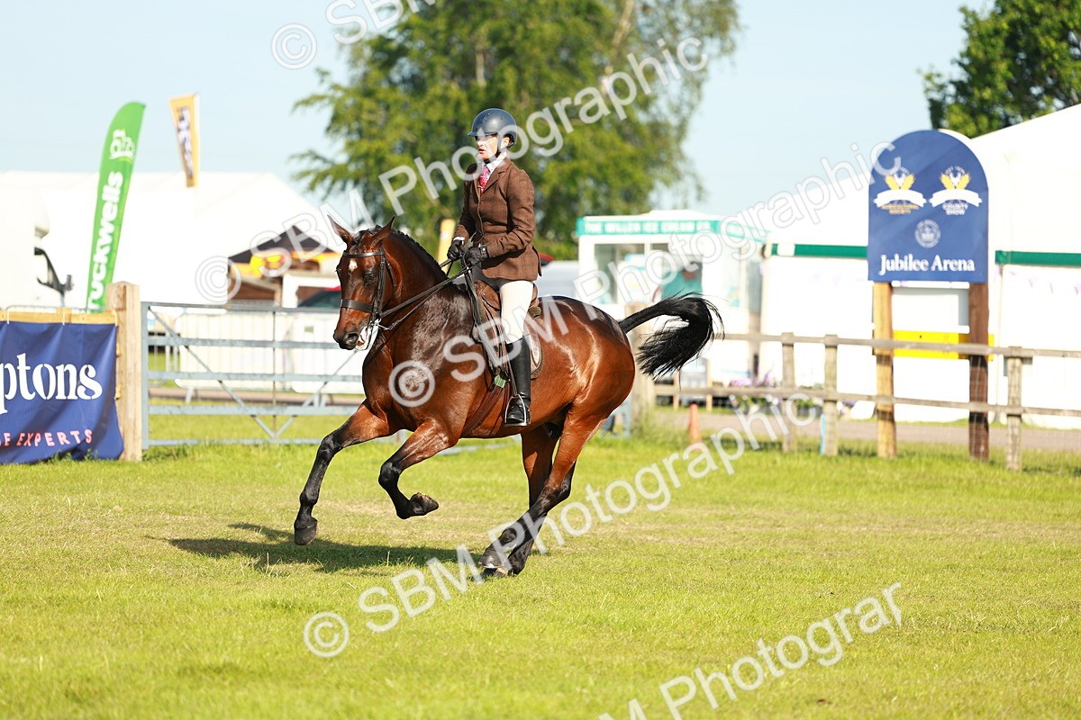 SBM_10779 - Class 66-69 - RIHS Ridden Hunters Inc Small Hunter