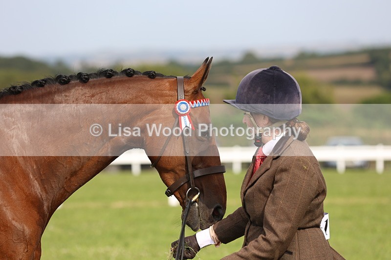 JPP_4316 - Class 25: Working Show Horse