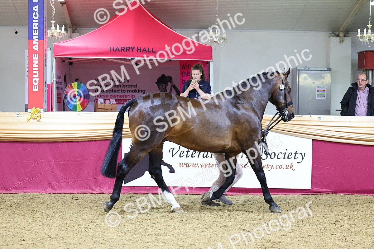 SBM_20841 - Class 902 - Supreme Final IH Veteran