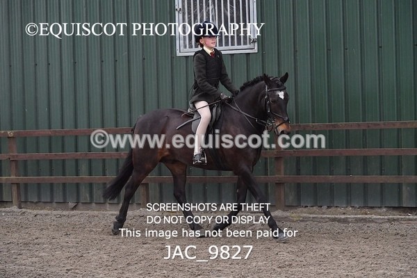 JAC_9827 - CLASS 2 Novice Working Hunter (0.60m - 0.70m)