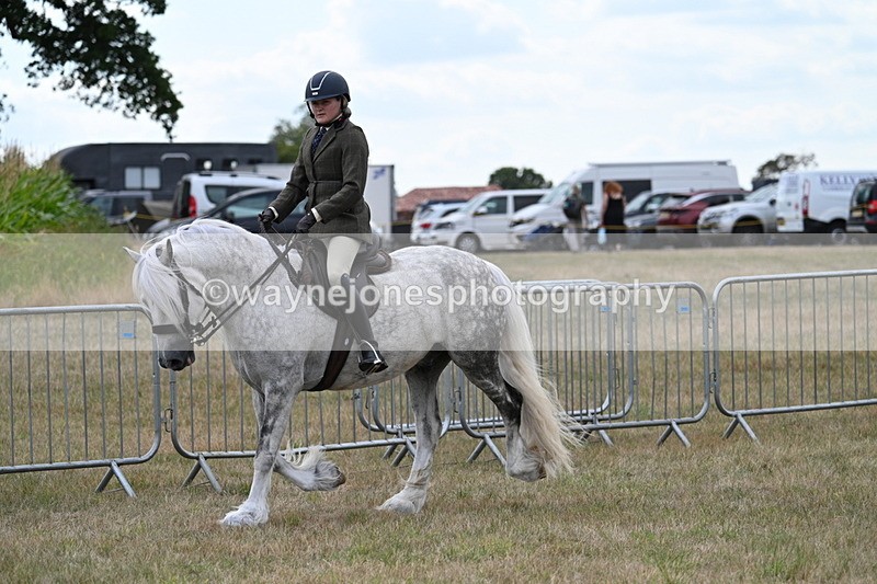 WJ7_4940 - Class 12 Ridden Cob