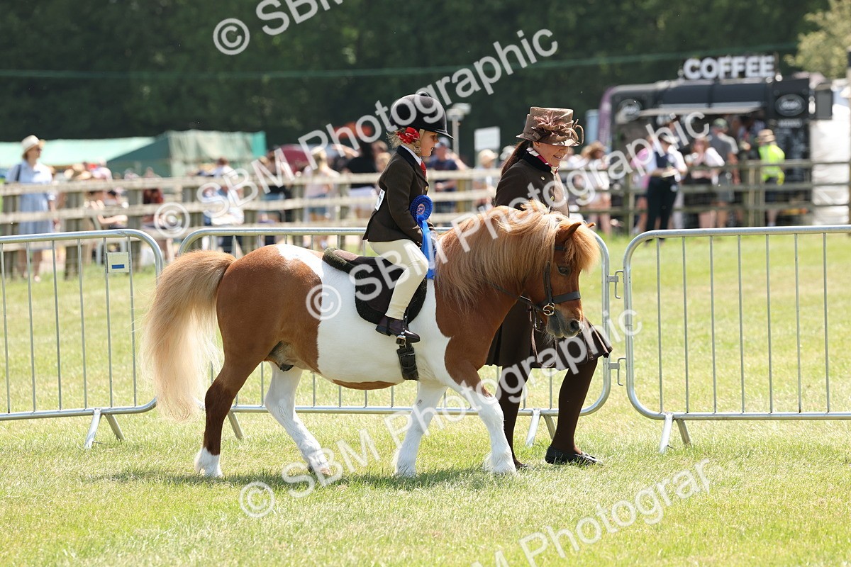 SBM_05408 - Class 24-25 - Mountain & Moorland In Hand Lead Rein and First Ridden