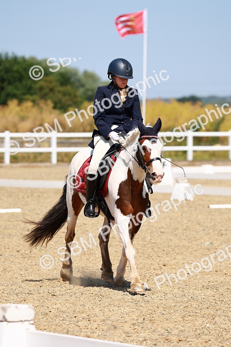 SBM_010699