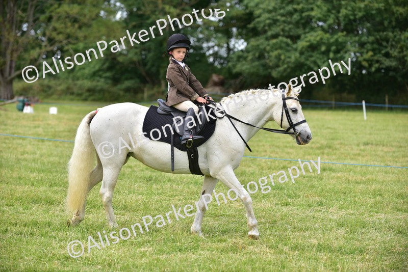 20260614-3643 - Class 15 - Prettiest Mare