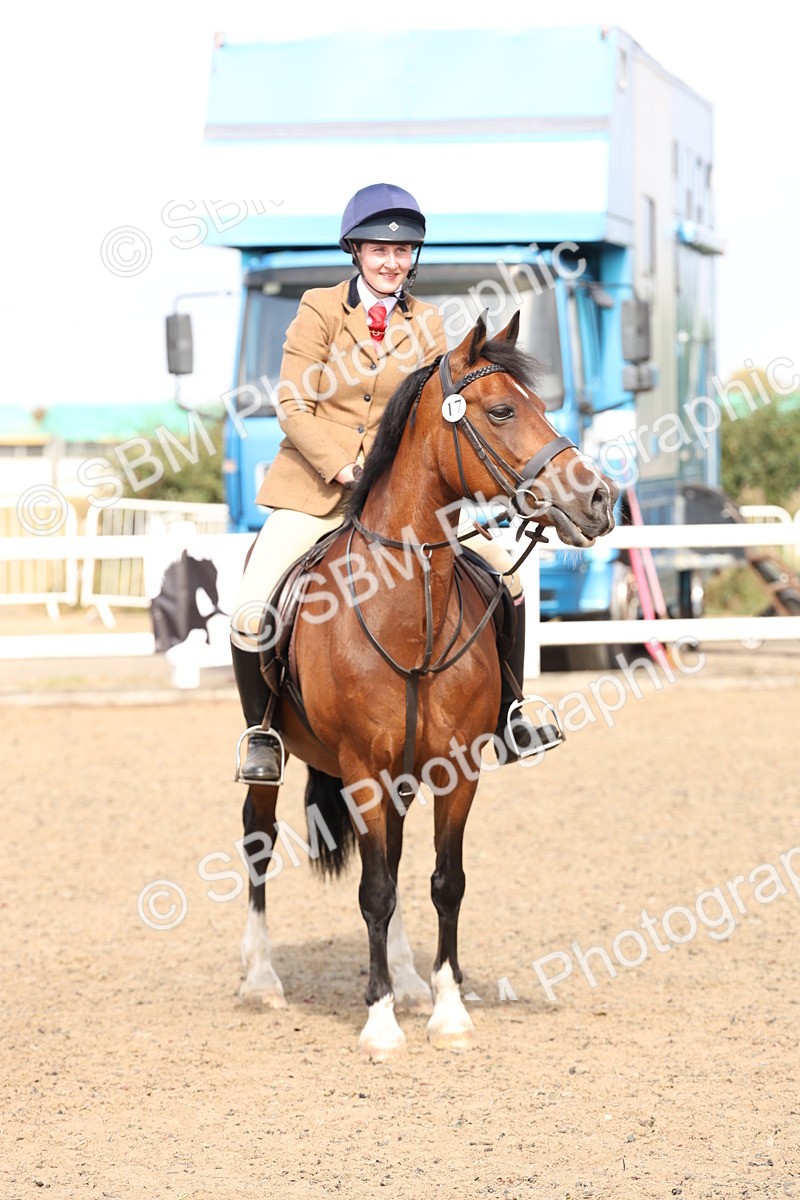 SBM_06809 - Class 58a -  Style & Performance - 70cm (15-19)