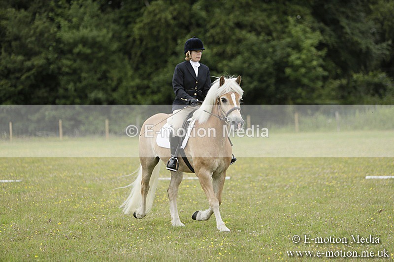 BVR160717-1161 - Class 2 Dressage 16/07/17