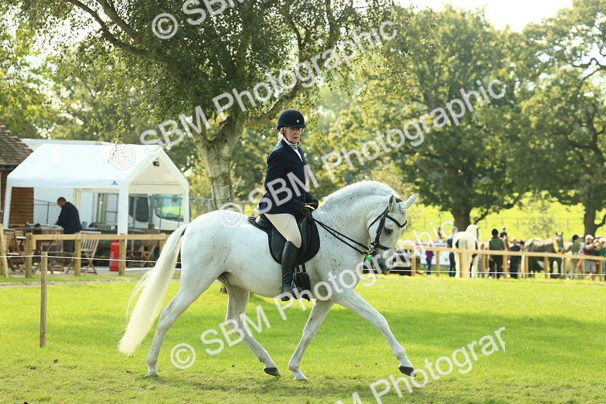 SBM_62452 - S62 - Foreign Breeds Ridden