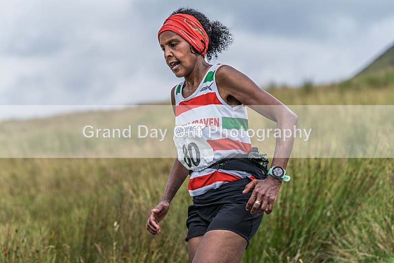 Ingleborough-779 - Ingleborough Mountain Race Saturday 20th July 2024