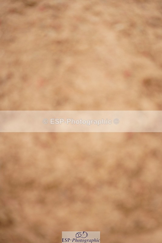 240524A-120508-03376 - Cls 15 Foxhunter