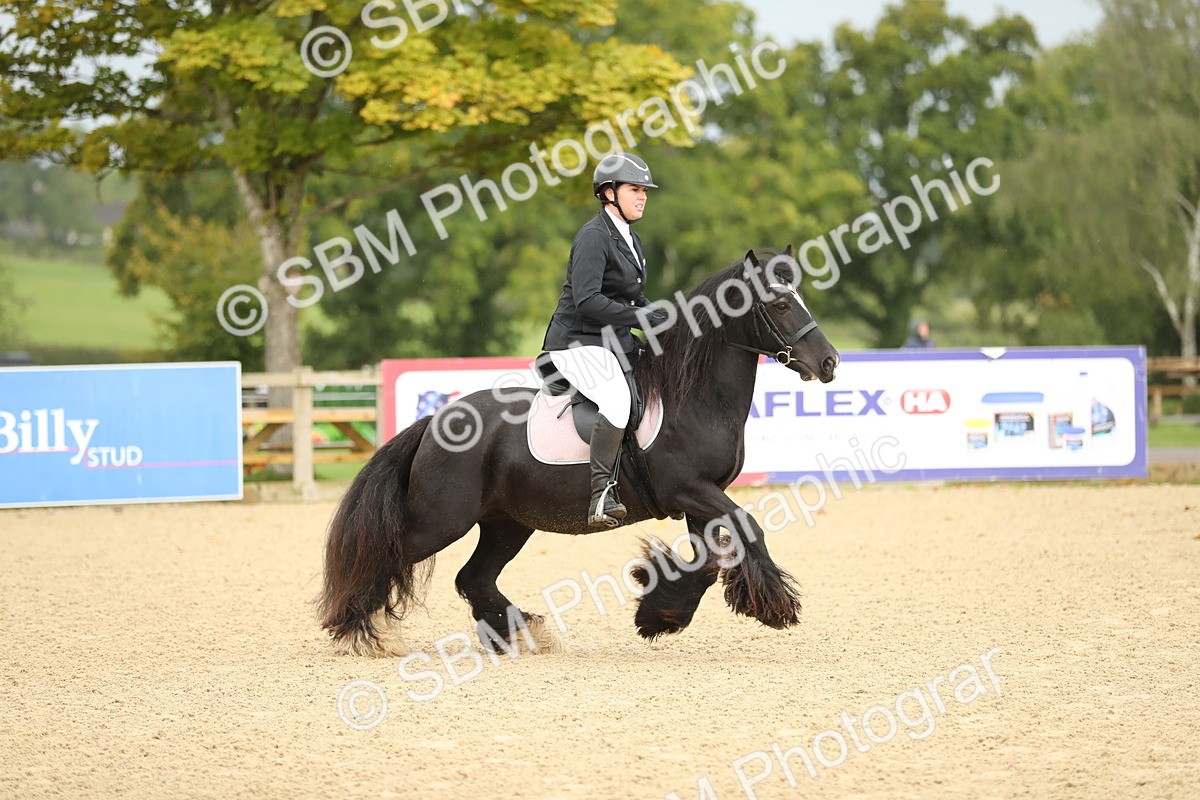 SBM_00881 - J27 - Senior Horse & Pony 50cm Championships