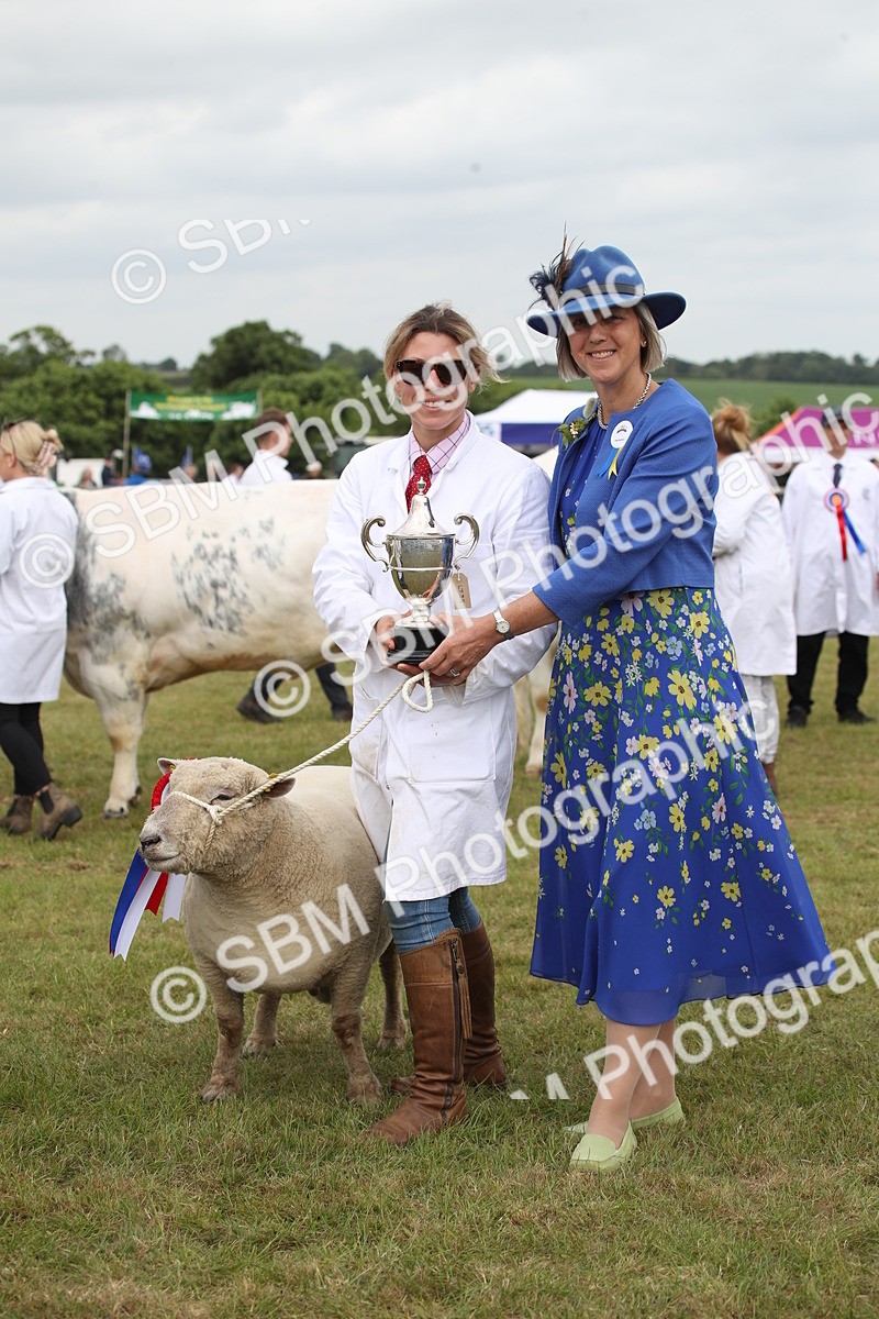 SBM_07888 - Grand Parade