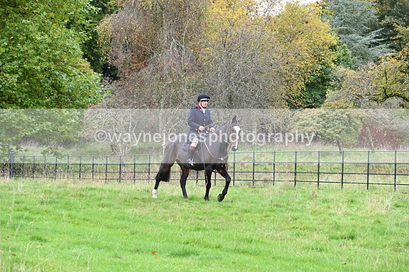 WJ6_0085 - Camera 2 Meet