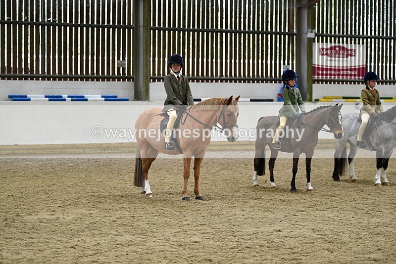 WJ5_7094 - Class 10 Childs Pony